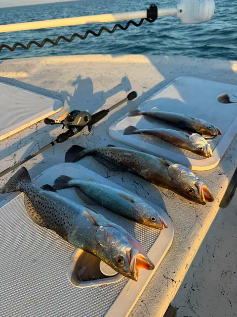Group catch bay