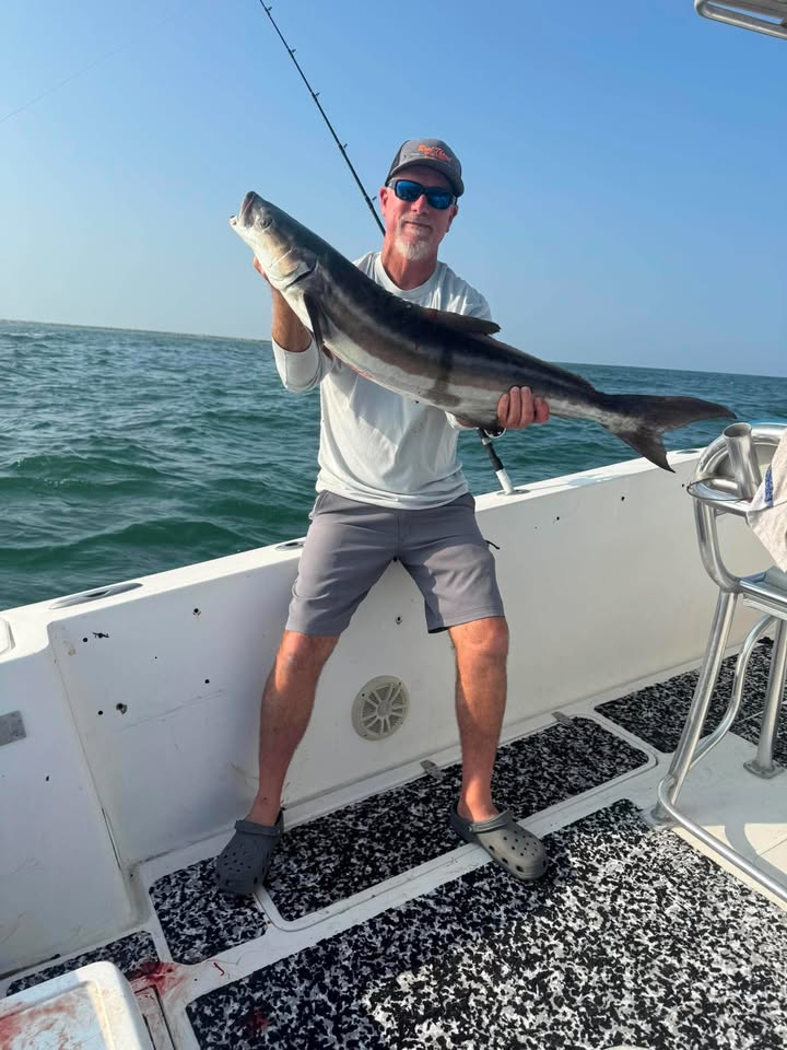 Cobia catch