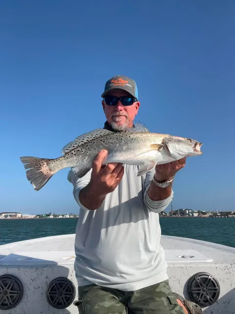 Gulf fishing