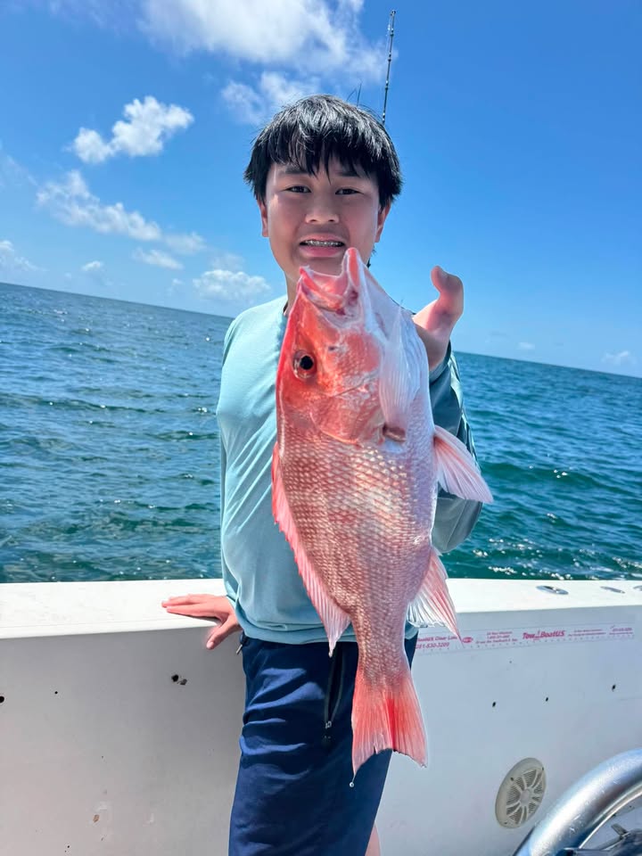 Red snapper catch