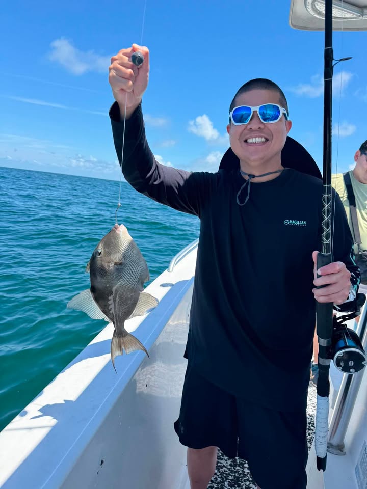 Triggerfish catch