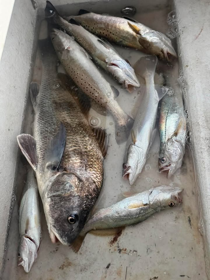 Gulf coast fishing